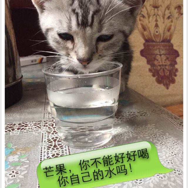 购买假日本福岛学院大学文凭毕业证